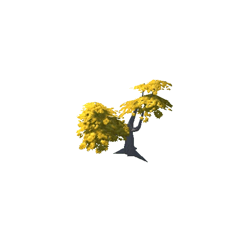 Maple Tree Yellow Mid 08